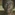 proj316-Fine-grained-memory-heat-perception-2959