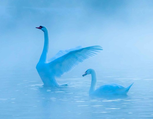 proj255-tempture_for_openharmony-1444