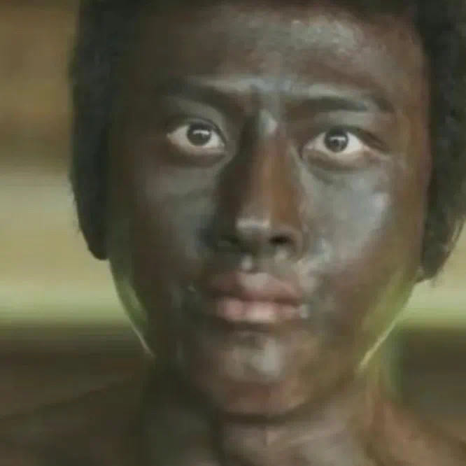 proj316-Fine-grained-memory-heat-perception-708