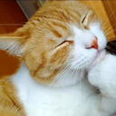 操作系统比赛-实验类-3481