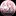 Compiler2026-AnonBeijingCompiler