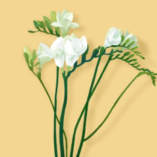 proj209-custom-filesystem -90