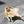 俺争取不掉队's avatar