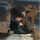 MimoROS's avatar